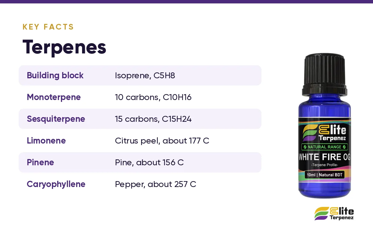 Terpene basics card: isoprene building block, monoterpene and sesquiterpene sizes and boiling points | Elite Terpenez