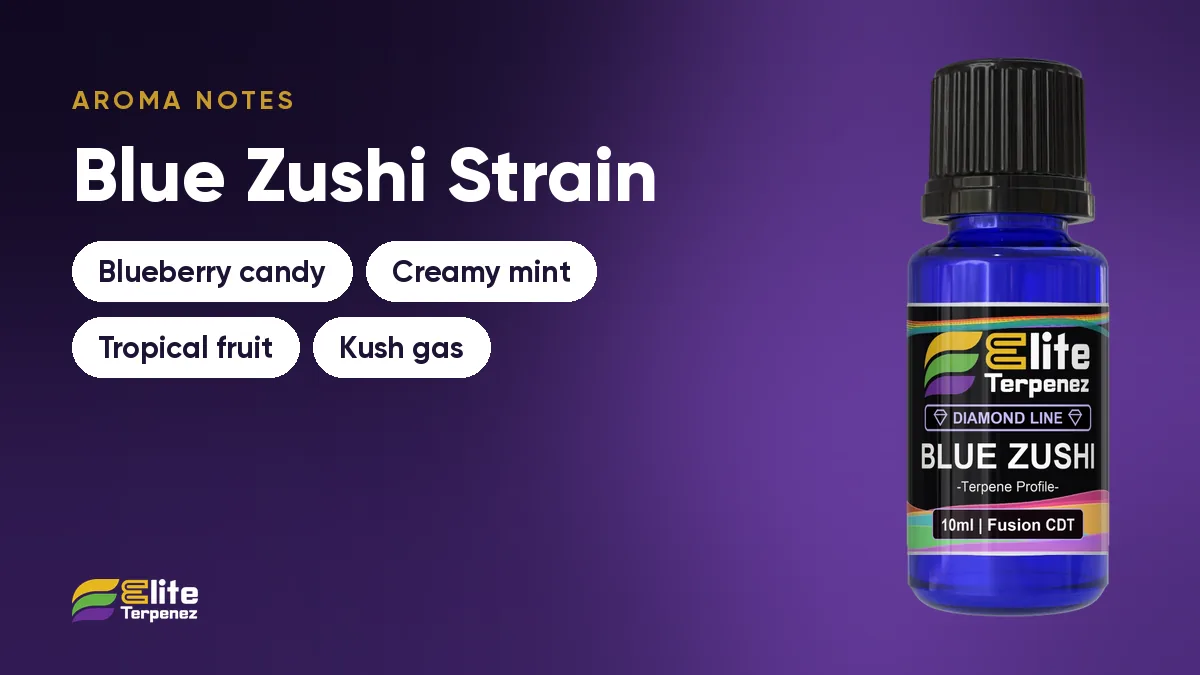 Blue Zushi aroma notes card: blueberry candy, creamy mint, tropical fruit and kush gas | Elite Terpenez