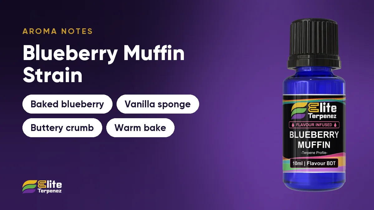 Blueberry Muffin aroma notes card: baked blueberry, vanilla sponge, buttery crumb and warm bake | Elite Terpenez