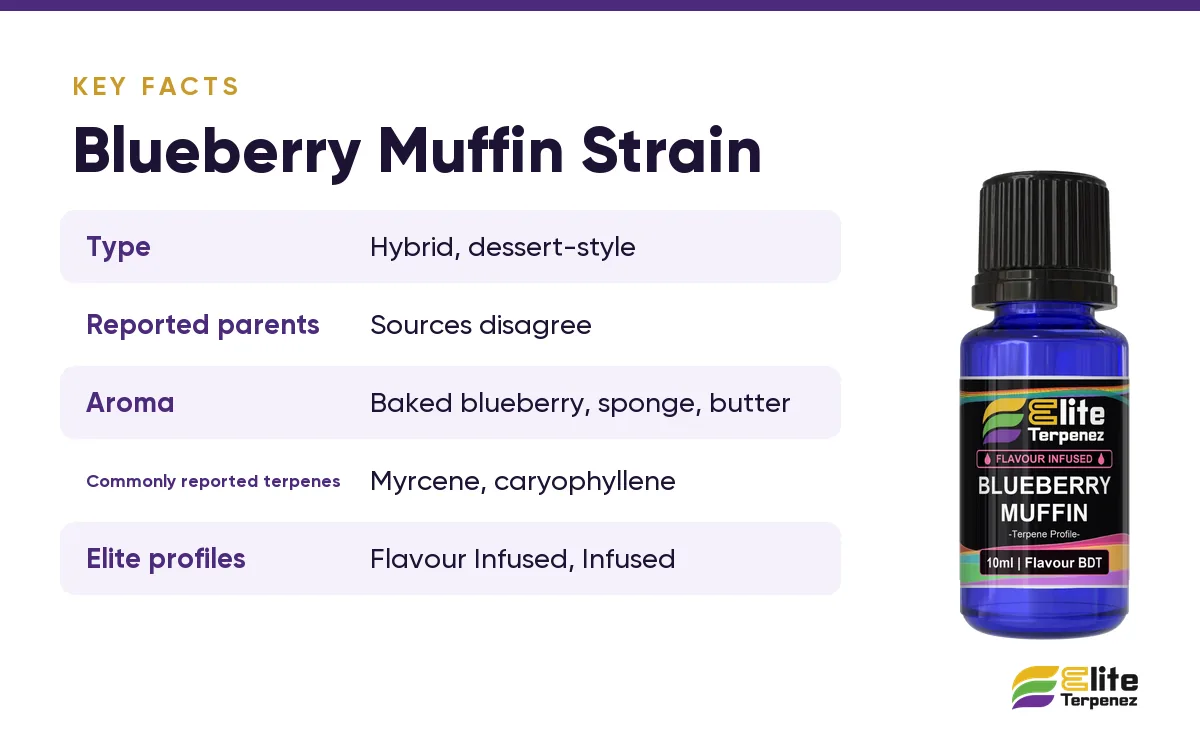 Blueberry Muffin strain key facts card: type, aroma and commonly reported terpenes | Elite Terpenez