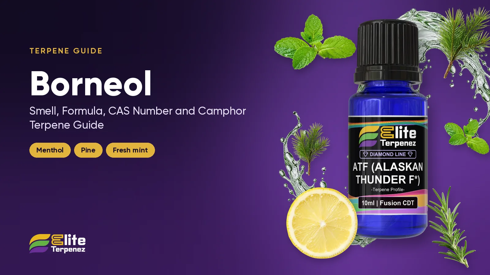 Elite Terpenez pine and mint terpene profile bottles with fresh pine and mint leaves | Elite Terpenez