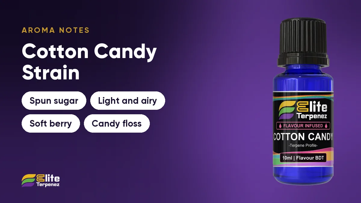 Cotton Candy aroma notes card: spun sugar, light and airy, soft berry and candy floss | Elite Terpenez