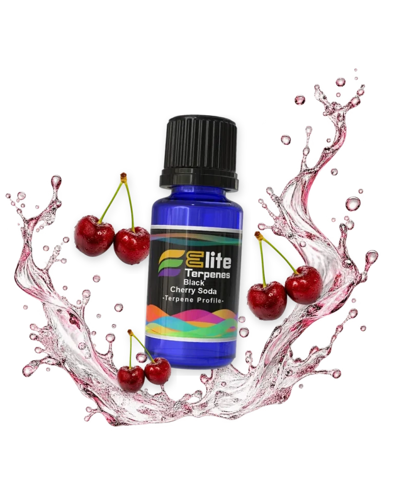 Black Cherry Soda Infused Terpenes blue bottle with flavour artwork