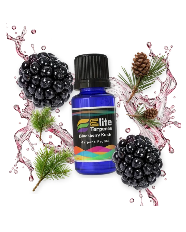 Blackberry Kush terpene profile bottle