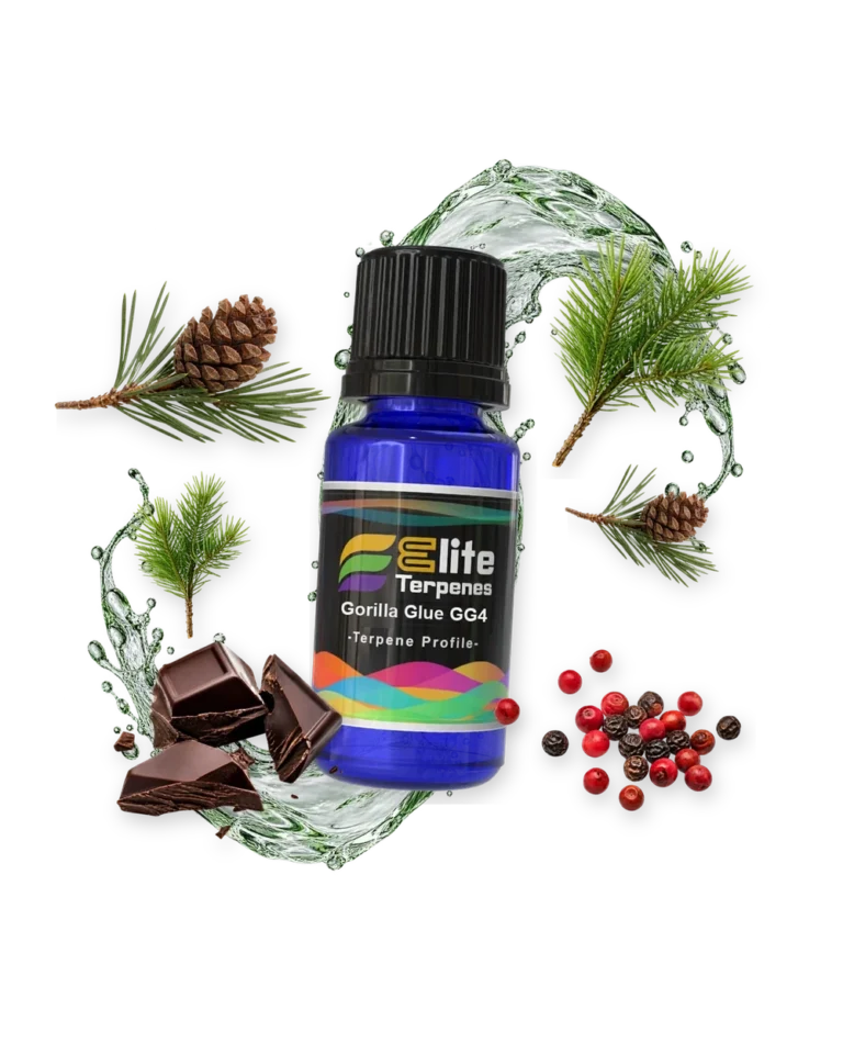 Gorilla Glue GG4 Premium Line (CDT) terpene bottle in a splash with pine cone, pine, chocolate and peppercorns, Elite Terpenez