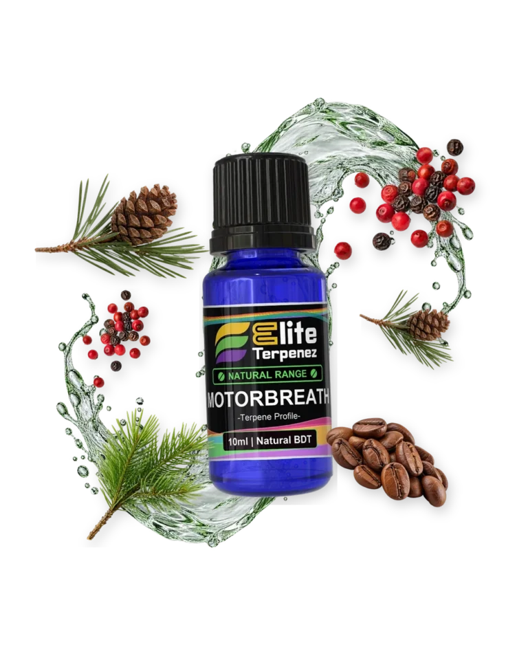 Motorbreath Natural Terpenes terpene bottle in a splash with pinecone, peppercorns, pine and coffee beans, Elite Terpenez