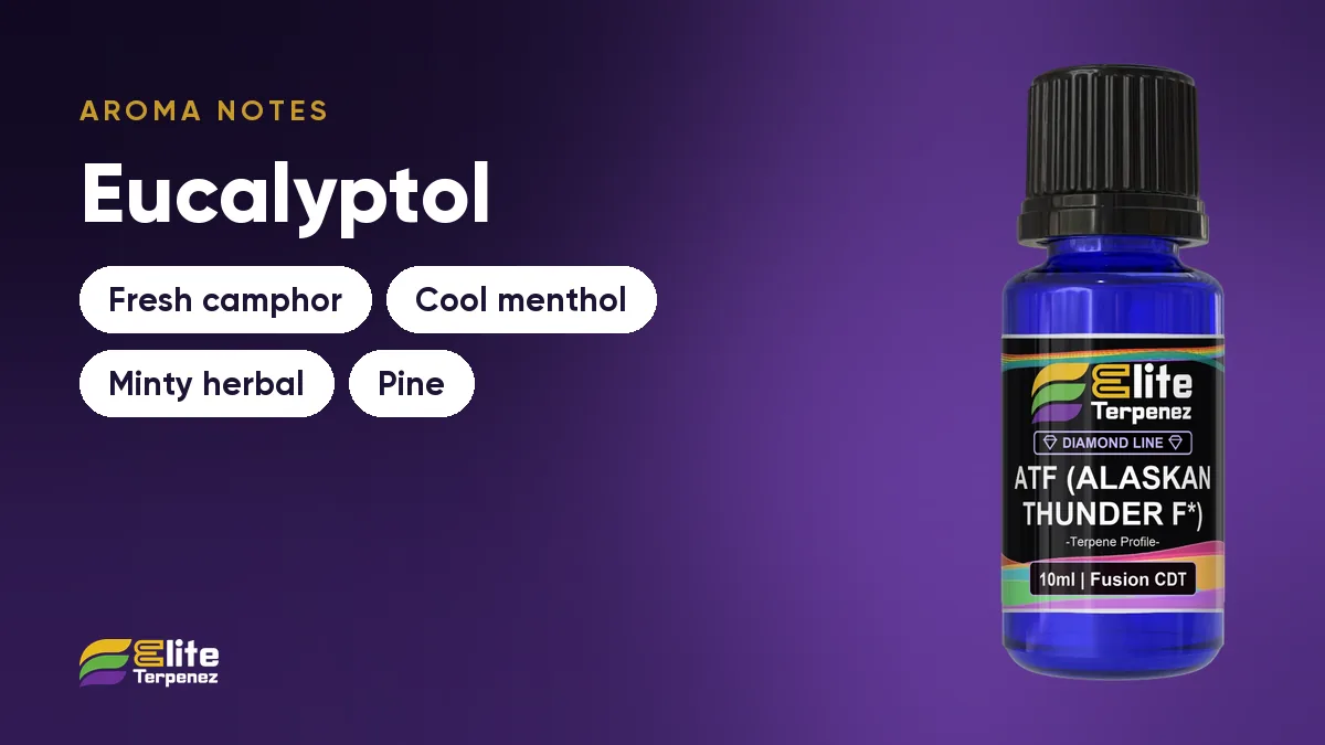 Eucalyptol aroma notes card: fresh camphor, cool menthol, minty herbal and pine | Elite Terpenez