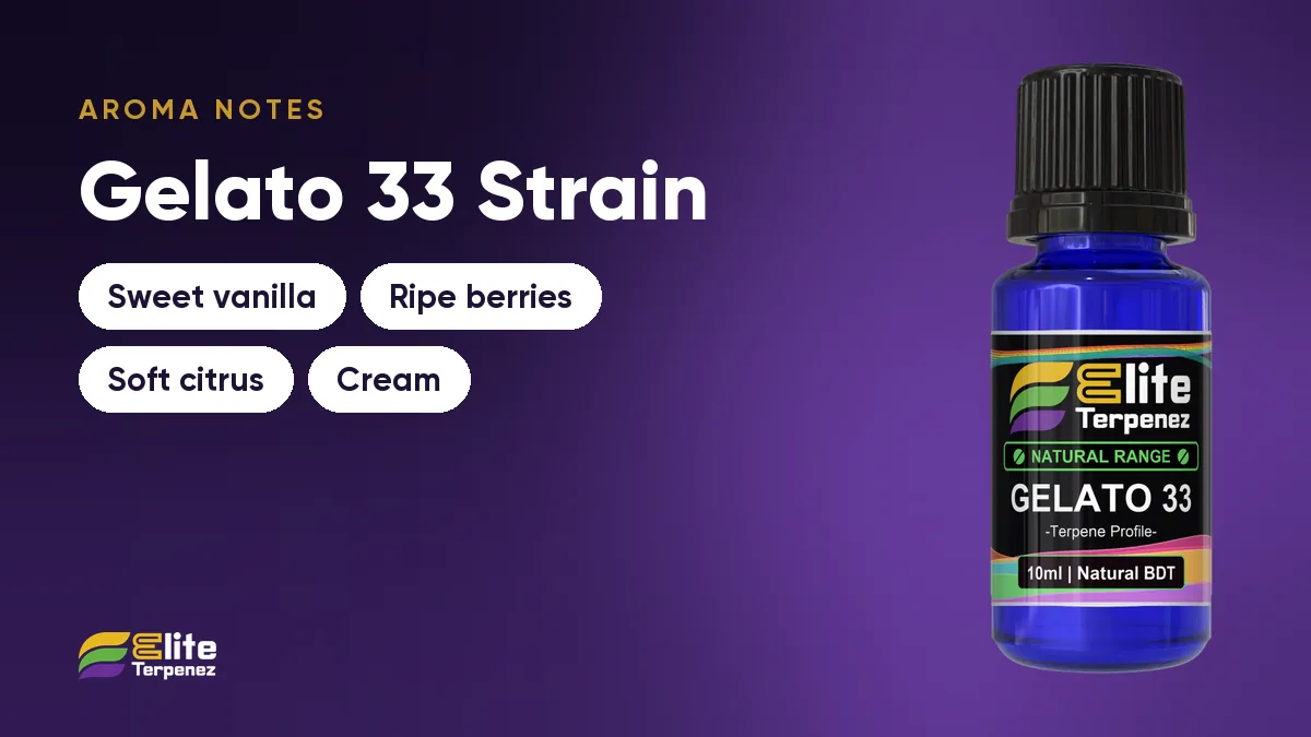 Gelato 33 aroma notes card: sweet vanilla, ripe berries, soft citrus and cream | Elite Terpenez