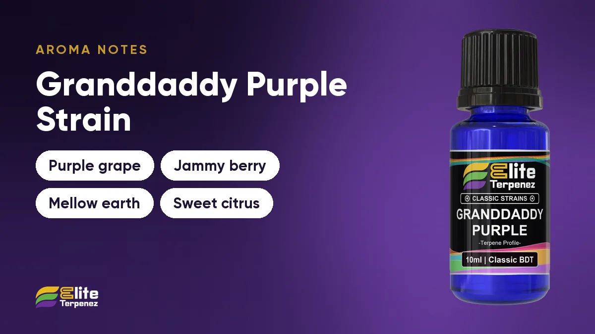 Granddaddy Purple aroma notes card: purple grape, jammy berry, mellow earth and sweet citrus | Elite Terpenez