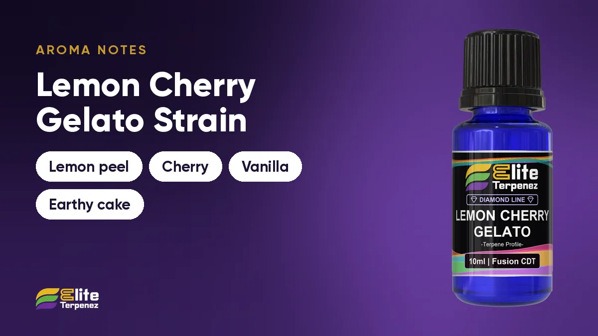 Lemon Cherry Gelato aroma notes card: lemon peel, cherry, vanilla and earthy cake | Elite Terpenez