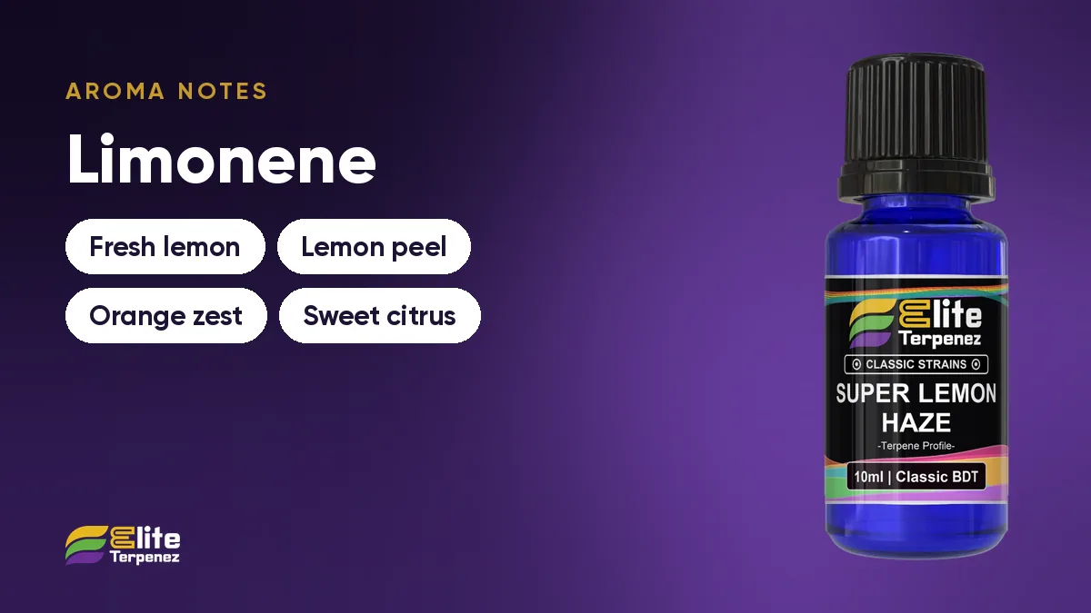 Citrus aroma notes card: fresh lemon, lemon peel, orange zest and sweet citrus | Elite Terpenez