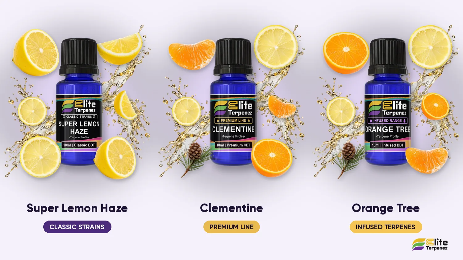 Three Elite Terpenez citrus profiles side by side: Super Lemon Haze, Clementine and Orange Tree | Elite Terpenez