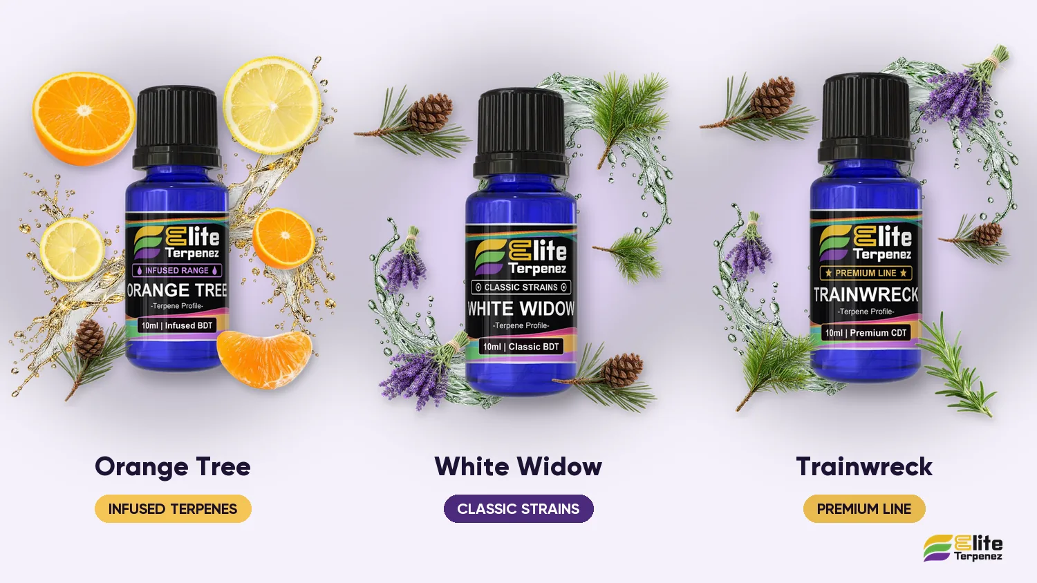 Three Elite Terpenez woody floral profiles: Orange Tree, White Widow and Trainwreck | Elite Terpenez