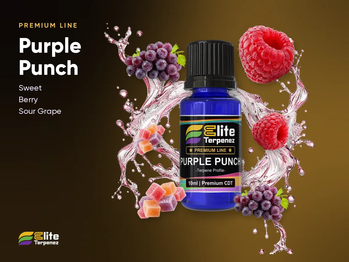 Elite Terpenez Purple Punch Premium Line 10 ml bottle with grape and berry splash | Elite Terpenez