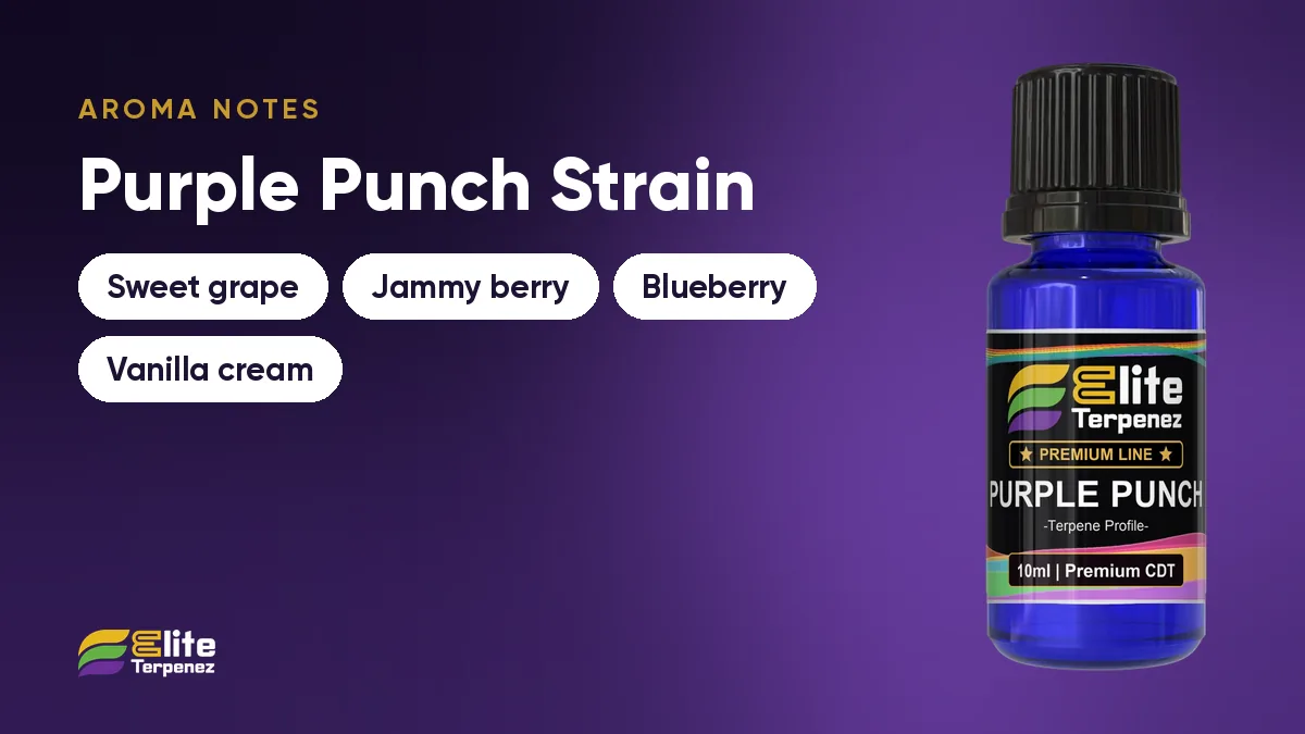 Purple Punch aroma notes card: sweet grape, jammy berry, blueberry and vanilla cream | Elite Terpenez