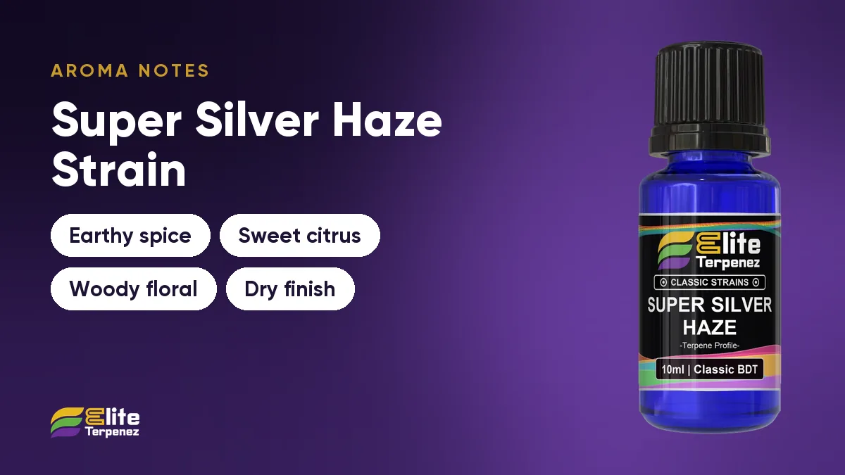 Super Silver Haze aroma notes card: earthy spice, sweet citrus, woody floral and dry finish | Elite Terpenez