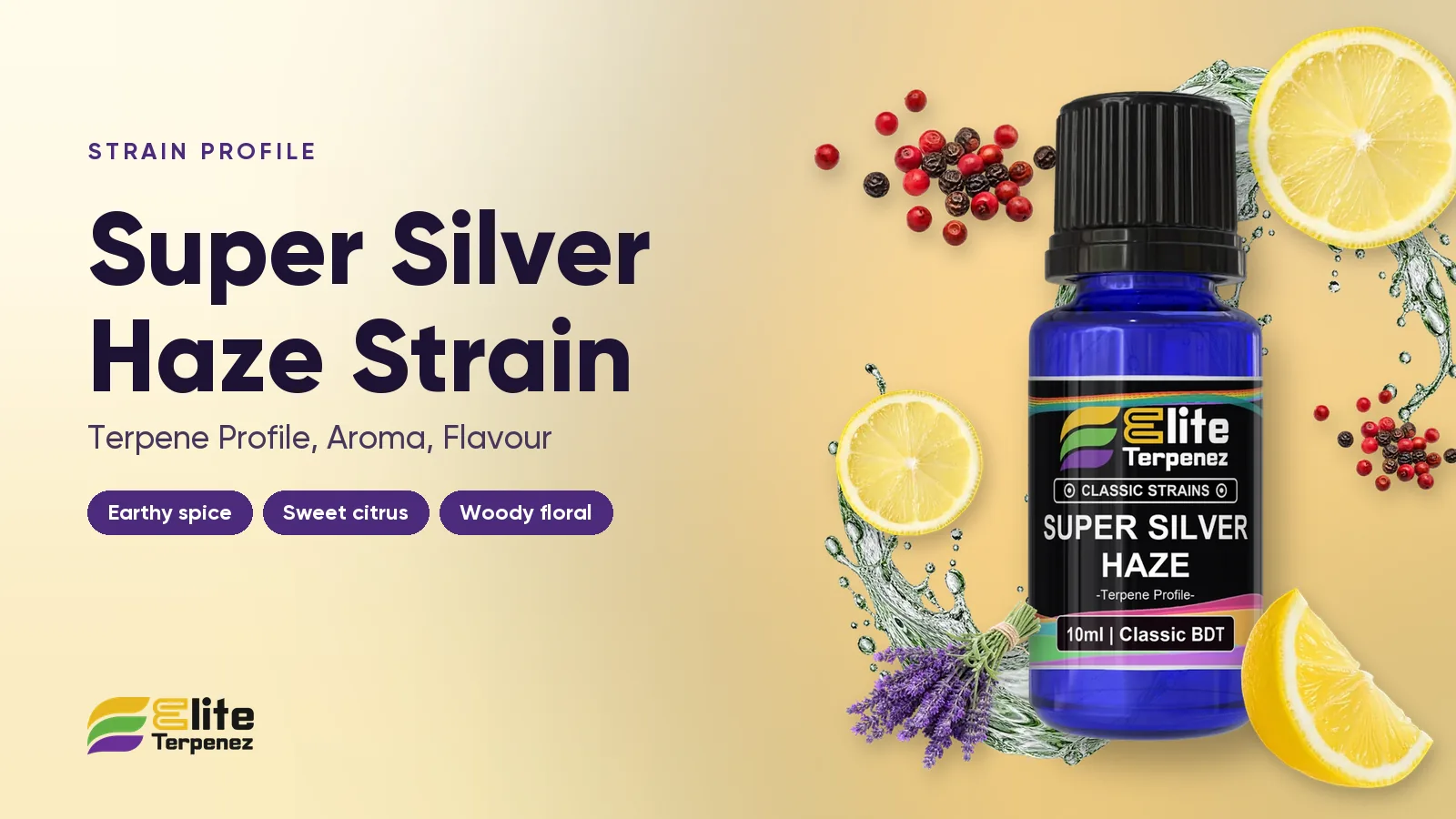 Elite Terpenez Super Silver Haze Classic Strains terpene bottle with citrus and spice styling | Elite Terpenez