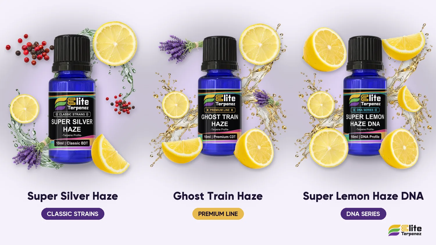 Elite Terpenez Super Silver Haze beside Ghost Train Haze and Super Lemon Haze DNA profiles from other lines | Elite Terpenez