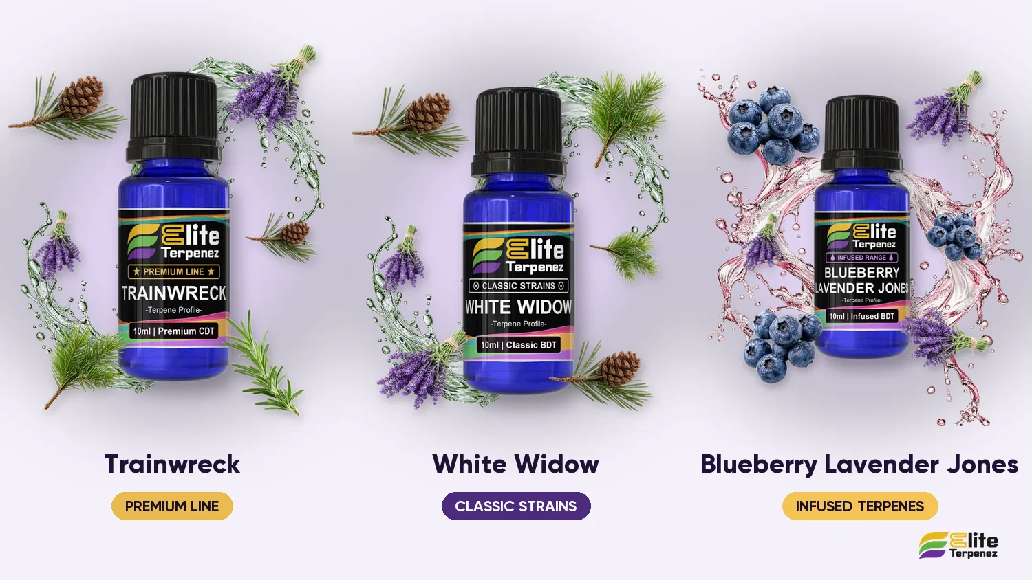 Three Elite Terpenez floral profiles side by side: Trainwreck, White Widow and Blueberry Lavender Jones | Elite Terpenez