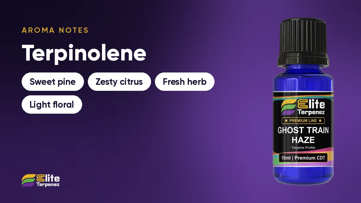 Pine-citrus aroma notes card: sweet pine, zesty citrus, fresh herb and light floral | Elite Terpenez