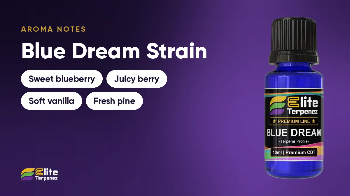 Aroma notes card for Blue Dream showing sweet blueberry, juicy berry, soft vanilla and fresh pine | Elite Terpenez