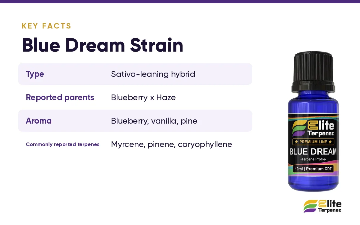 Key facts card for the Blue Dream strain with type, reported parents and aroma | Elite Terpenez