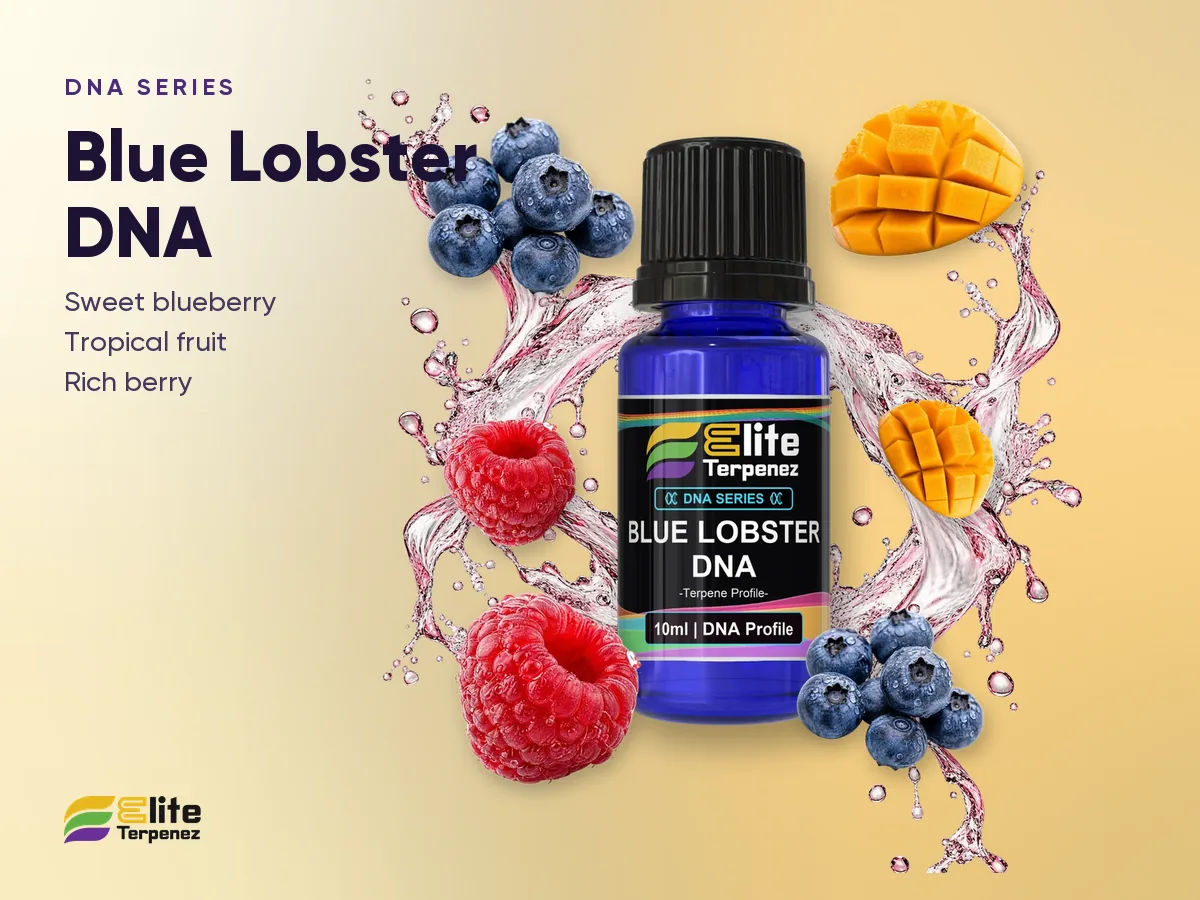 Elite Terpenez Blue Lobster DNA bottle with sweet blueberry and tropical fruit splash | Elite Terpenez
