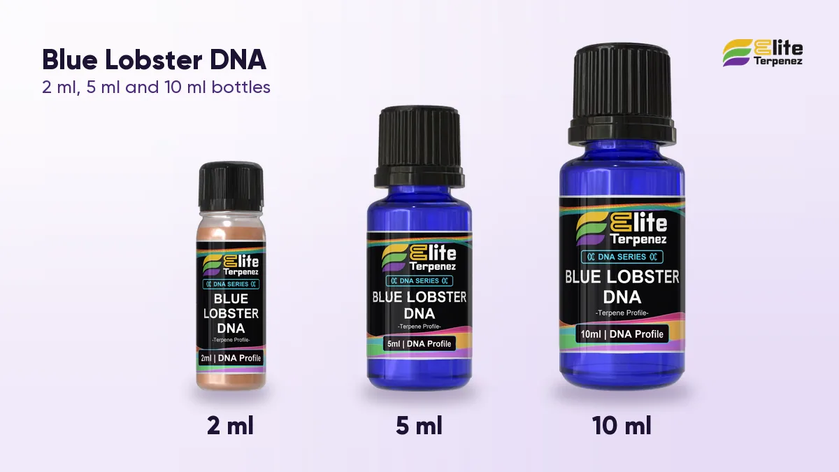 Elite Terpenez Blue Lobster DNA terpene bottles in 2 ml, 5 ml and 10 ml sizes | Elite Terpenez