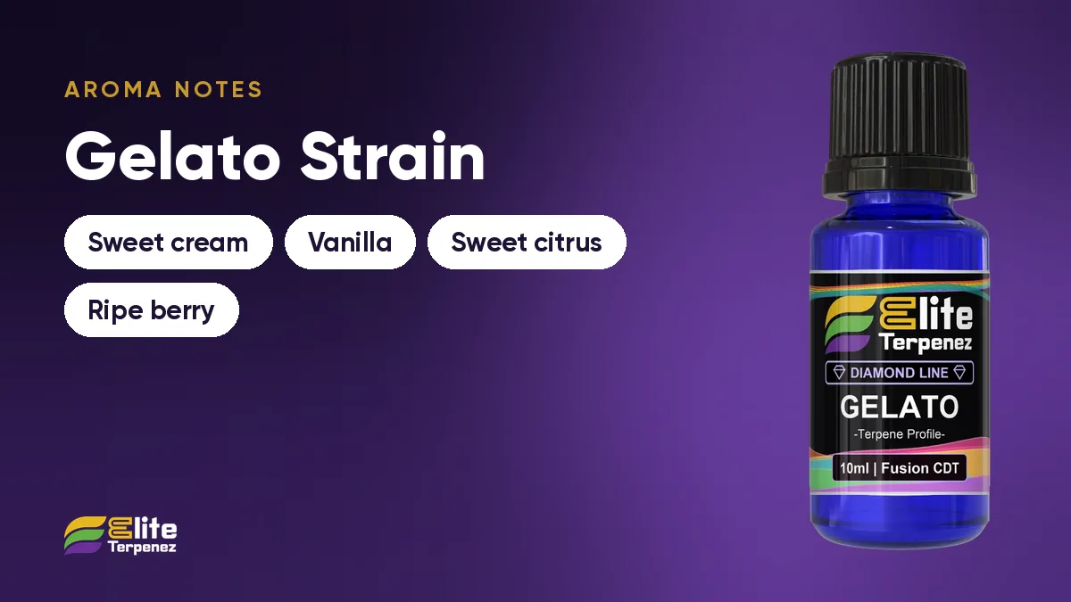 Gelato aroma notes card: sweet cream, vanilla, sweet citrus and ripe berry | Elite Terpenez