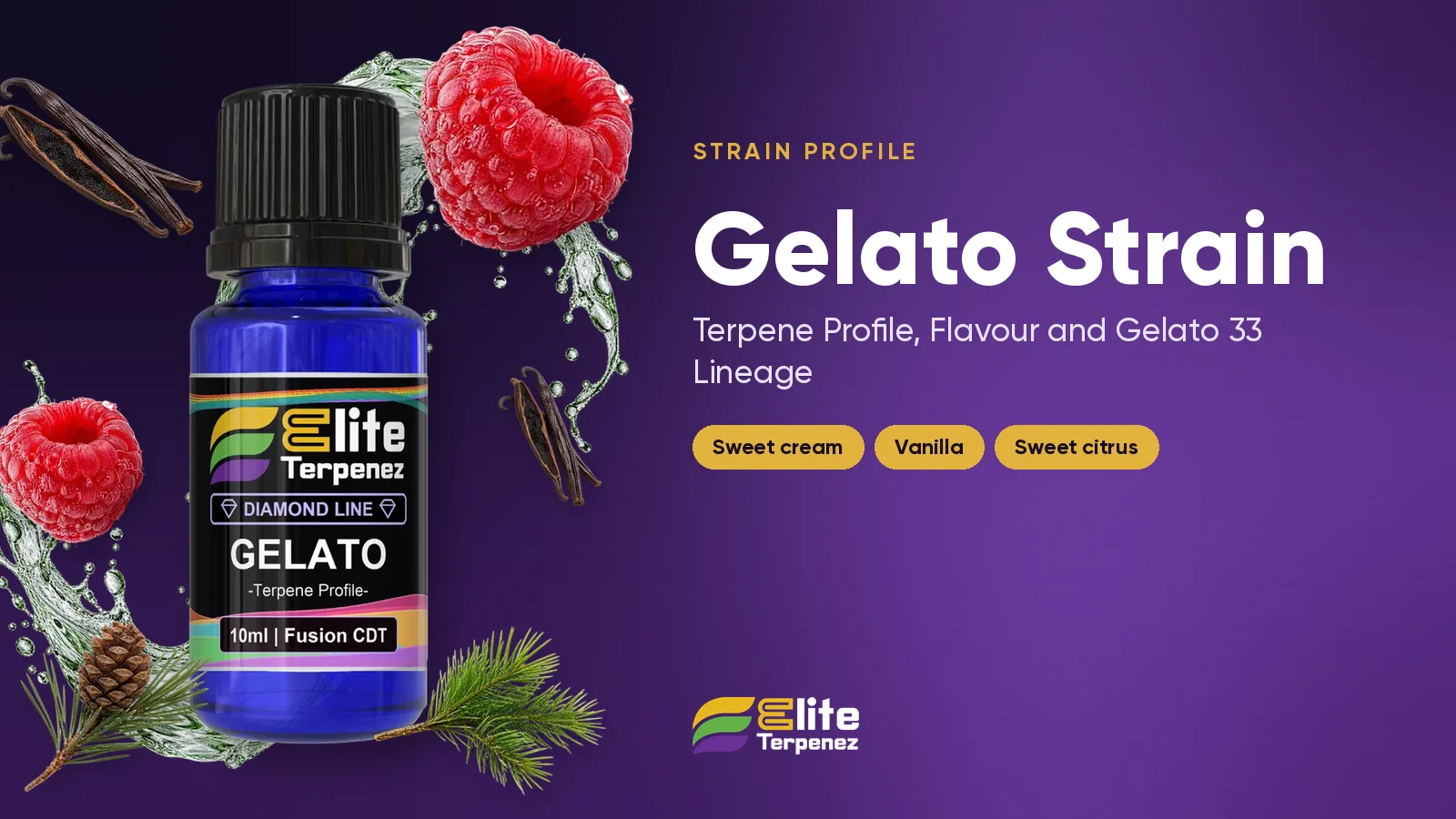 Elite Terpenez Gelato terpene profile bottles with creamy dessert styling | Elite Terpenez