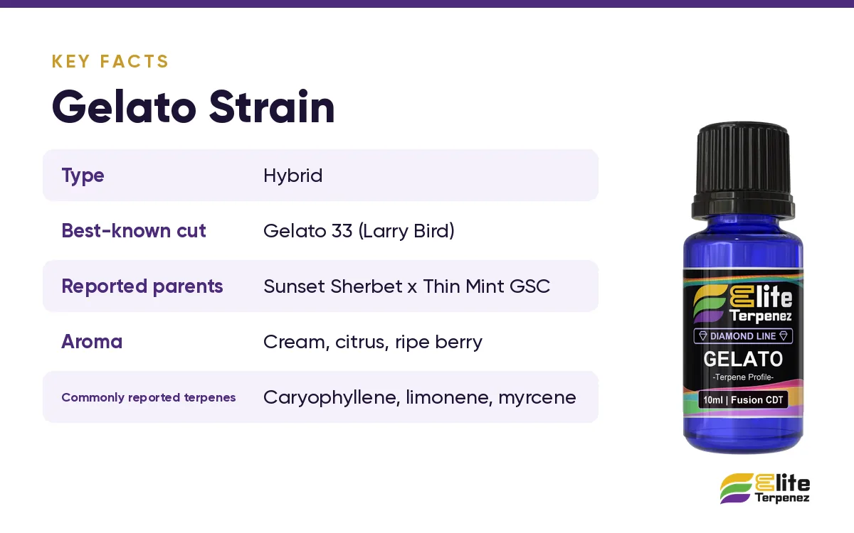 Gelato strain key facts card: Gelato 33, reported parents and aroma | Elite Terpenez