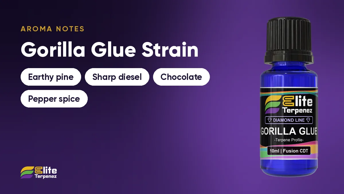 Aroma notes card for Gorilla Glue showing earthy pine, sharp diesel, chocolate and pepper spice | Elite Terpenez