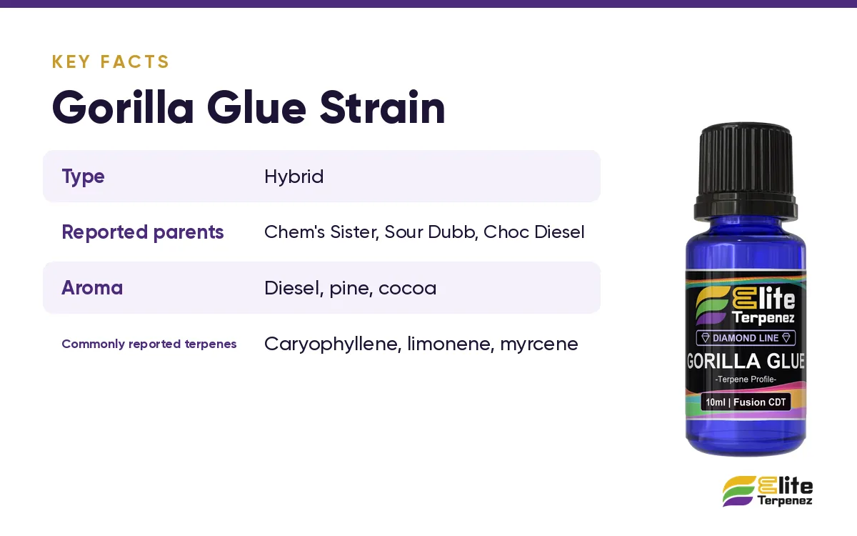 Key facts card for the Gorilla Glue strain with type, reported parents and aroma | Elite Terpenez