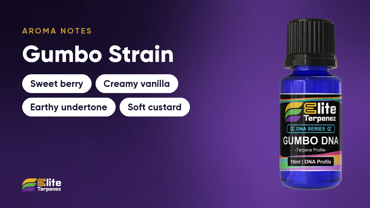 Gumbo aroma notes card: sweet berry, creamy vanilla, earthy undertone and soft custard | Elite Terpenez