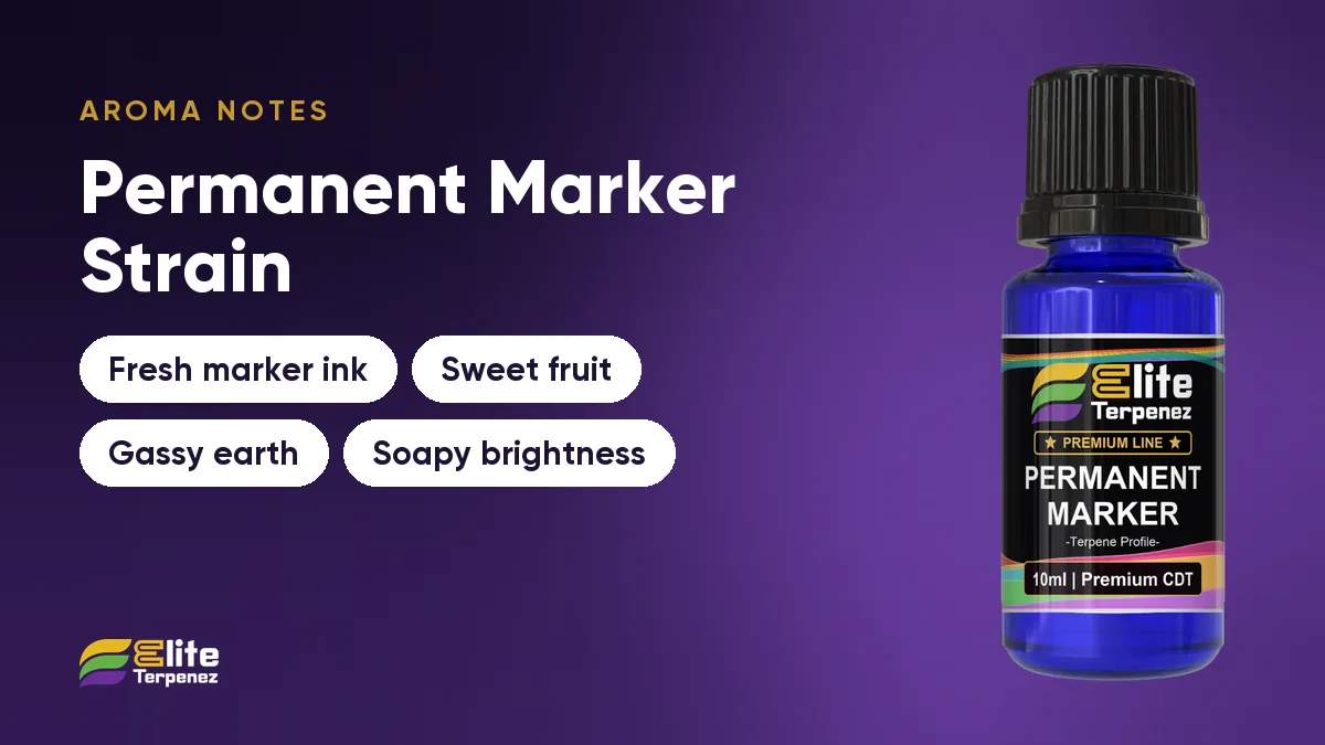 Permanent Marker aroma notes card: fresh marker ink, sweet fruit, gassy earth and soapy brightness | Elite Terpenez