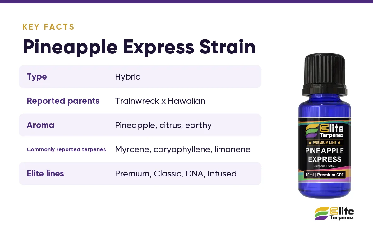 Pineapple Express strain key facts card: reported parents, aroma and commonly reported terpenes | Elite Terpenez