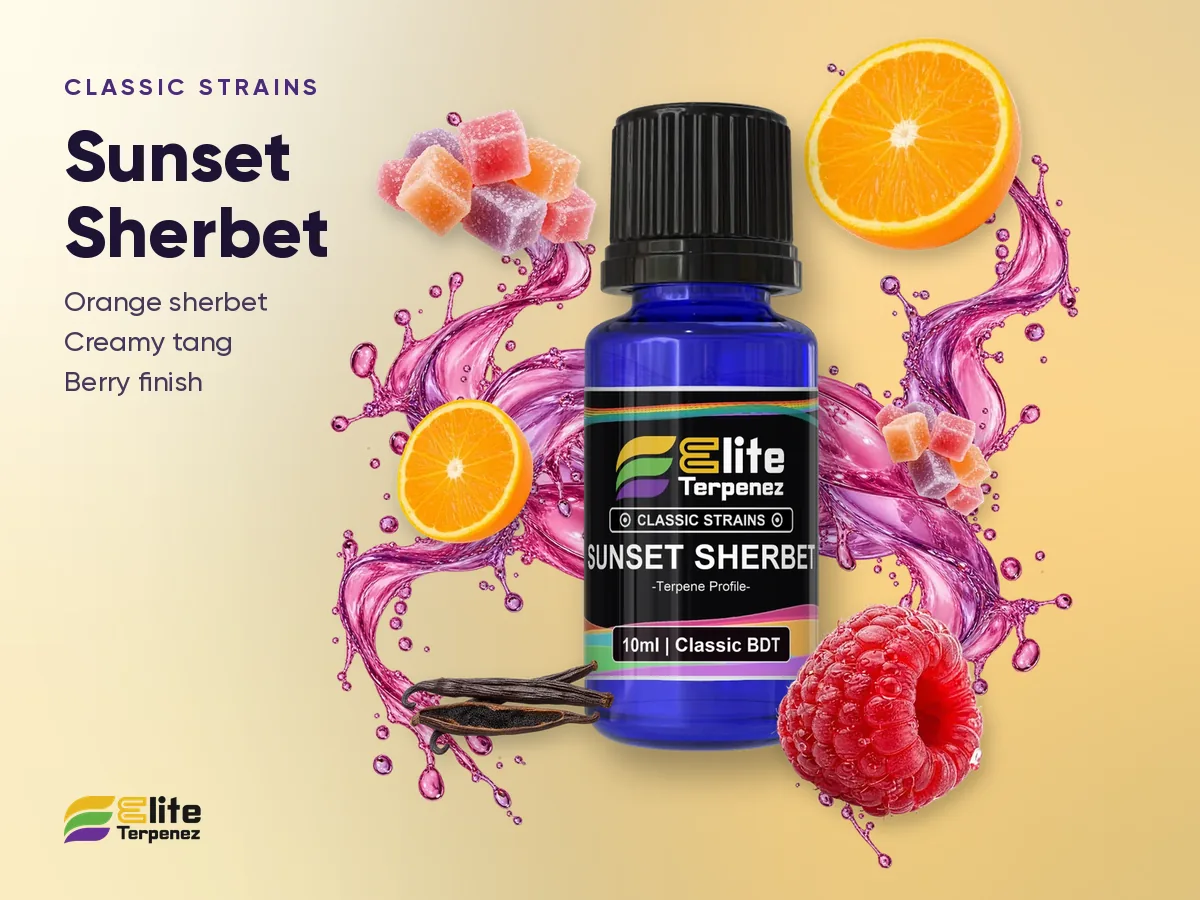 Elite Terpenez Sunset Sherbet Classic Strains 10 ml bottle with orange sherbet and berries | Elite Terpenez