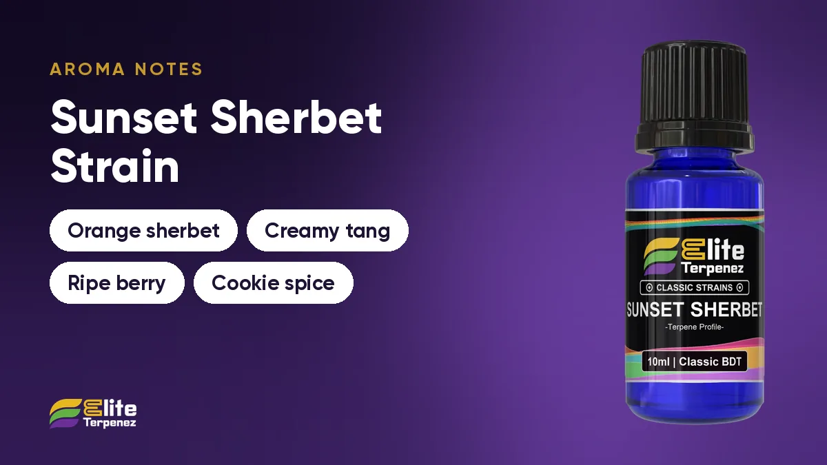 Aroma notes card for Sunset Sherbet showing orange sherbet, creamy tang, ripe berry and cookie spice | Elite Terpenez