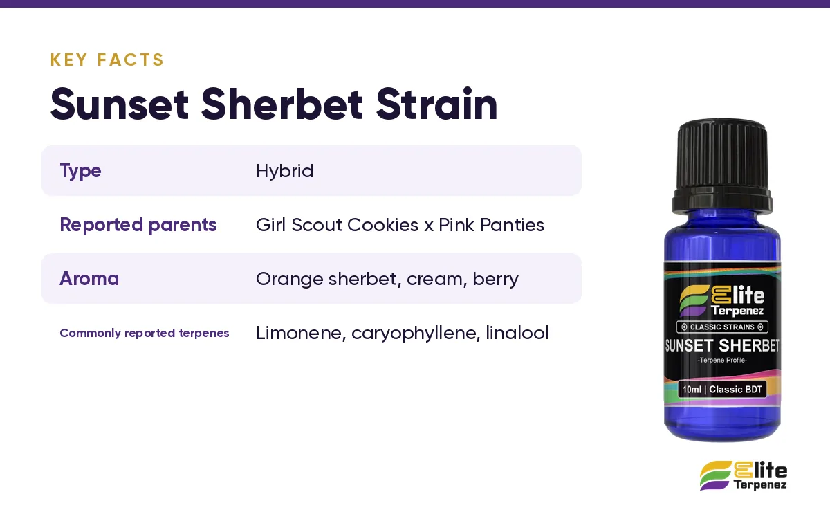 Key facts card for the Sunset Sherbet strain with type, reported parents and aroma | Elite Terpenez