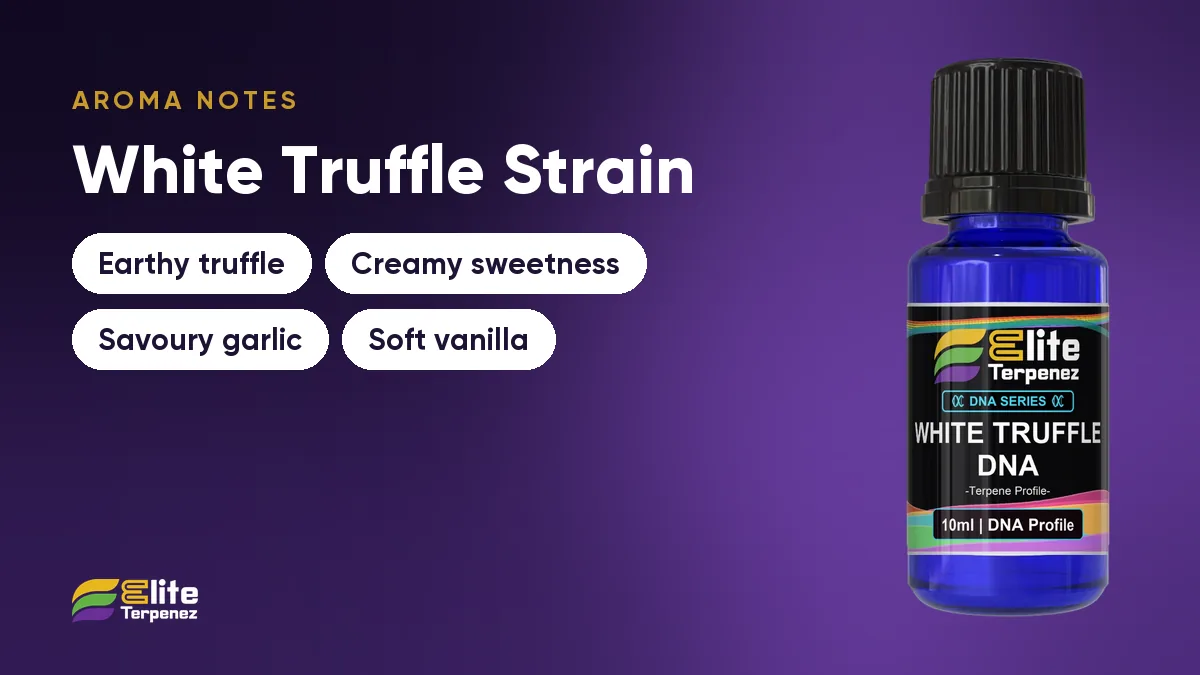 White Truffle aroma notes card: earthy truffle, creamy sweetness, savoury garlic and soft vanilla | Elite Terpenez
