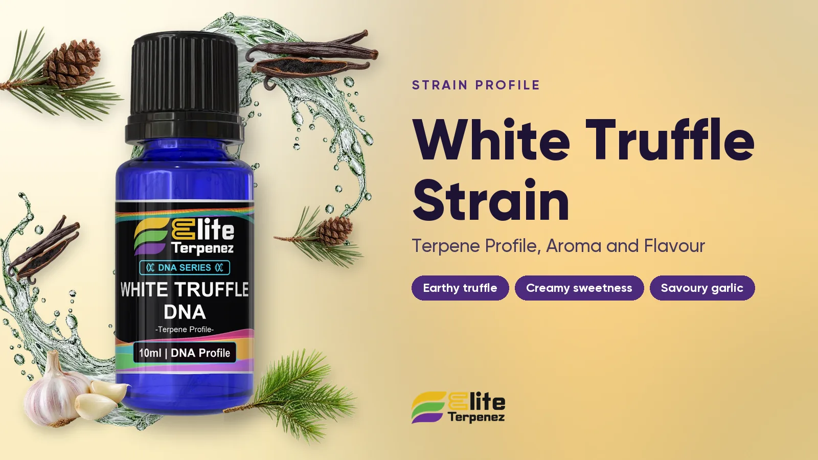 Elite Terpenez White Truffle DNA terpene profile bottle with earthy truffle and cream styling | Elite Terpenez