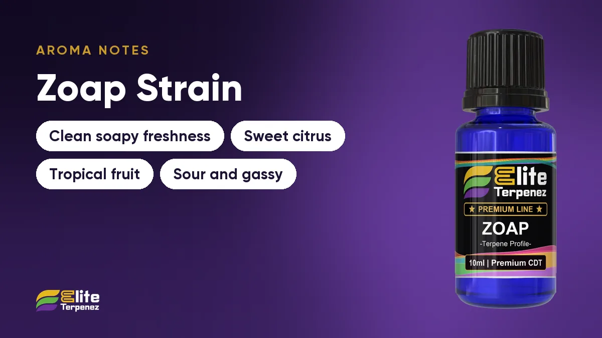 Zoap aroma notes card: clean soapy freshness, sweet citrus, tropical fruit and sour gas | Elite Terpenez